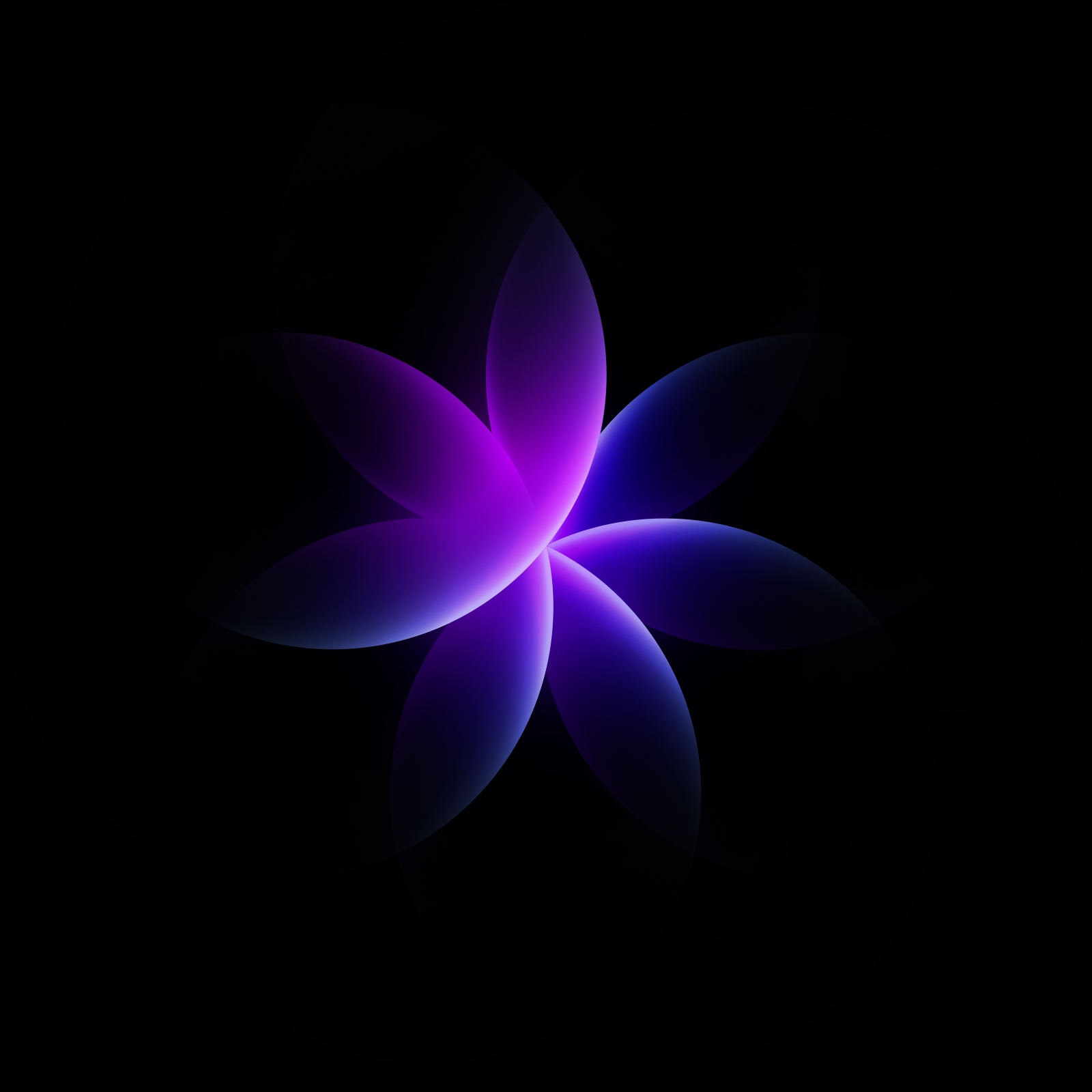 Luminous Bloom