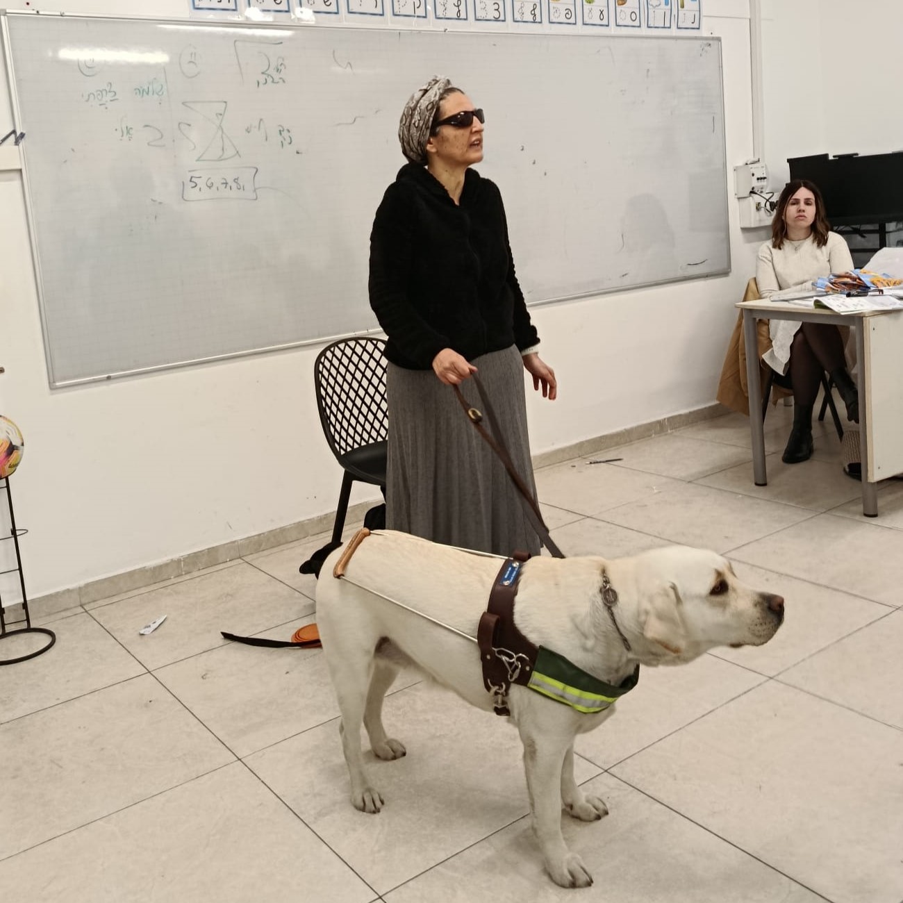 שבוע הנגישות