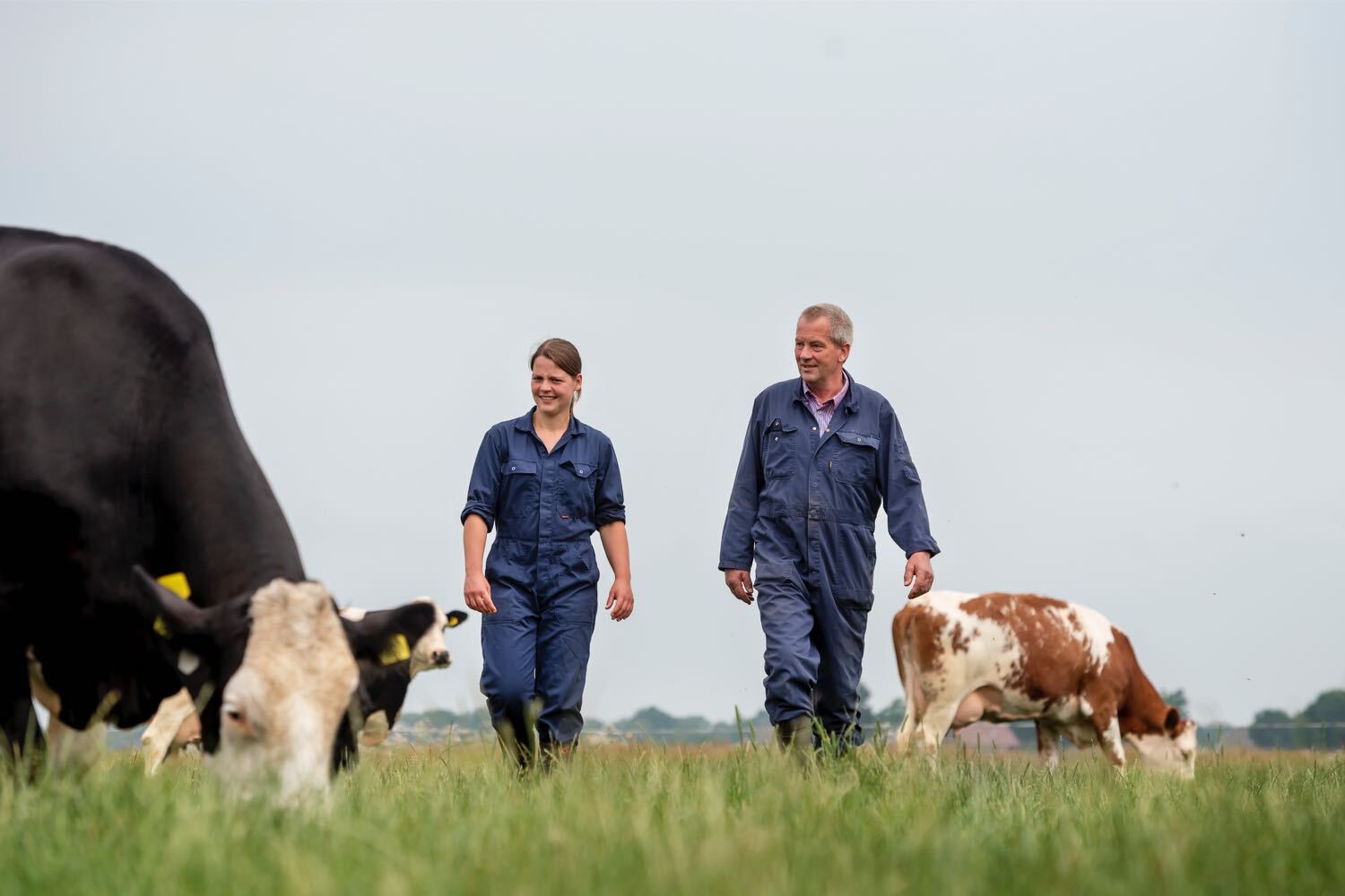 CRV schakelde TeamValue in om het proces te begeleiden. ISO werd het middel om de way-of-work scherp te stellen.