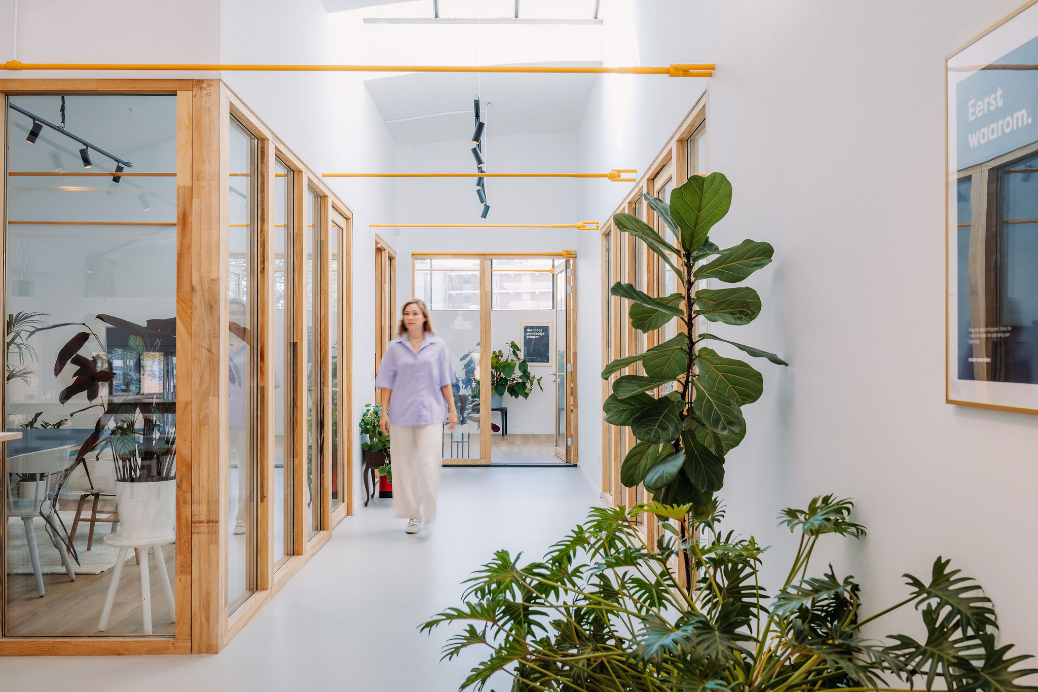 Blog 1 - organisatiecultuur planten September- TeamValue