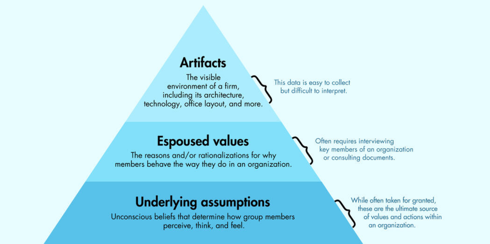 Cultuurmodel van Shein - TeamValue