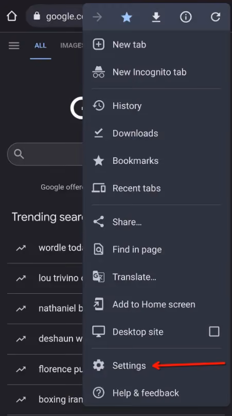 The settings menu within the Chrome app on an Android device.
