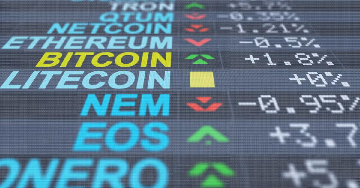 The crypto exchange