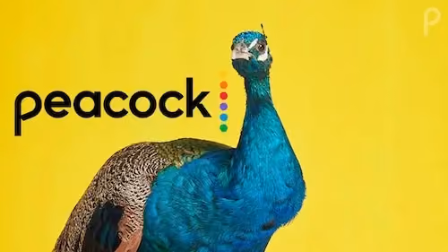Peacock TV