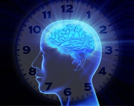 Influence de différentes longueurs d’onde sur l’horloge biologique