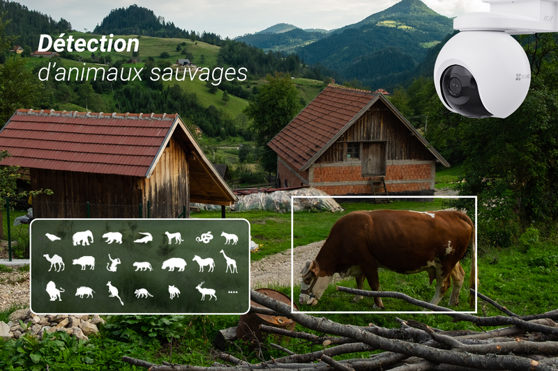 8_Détection d’animaux sauvages.png