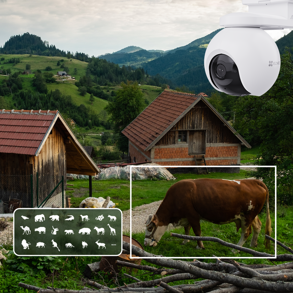 Détection d’animaux sauvages.png