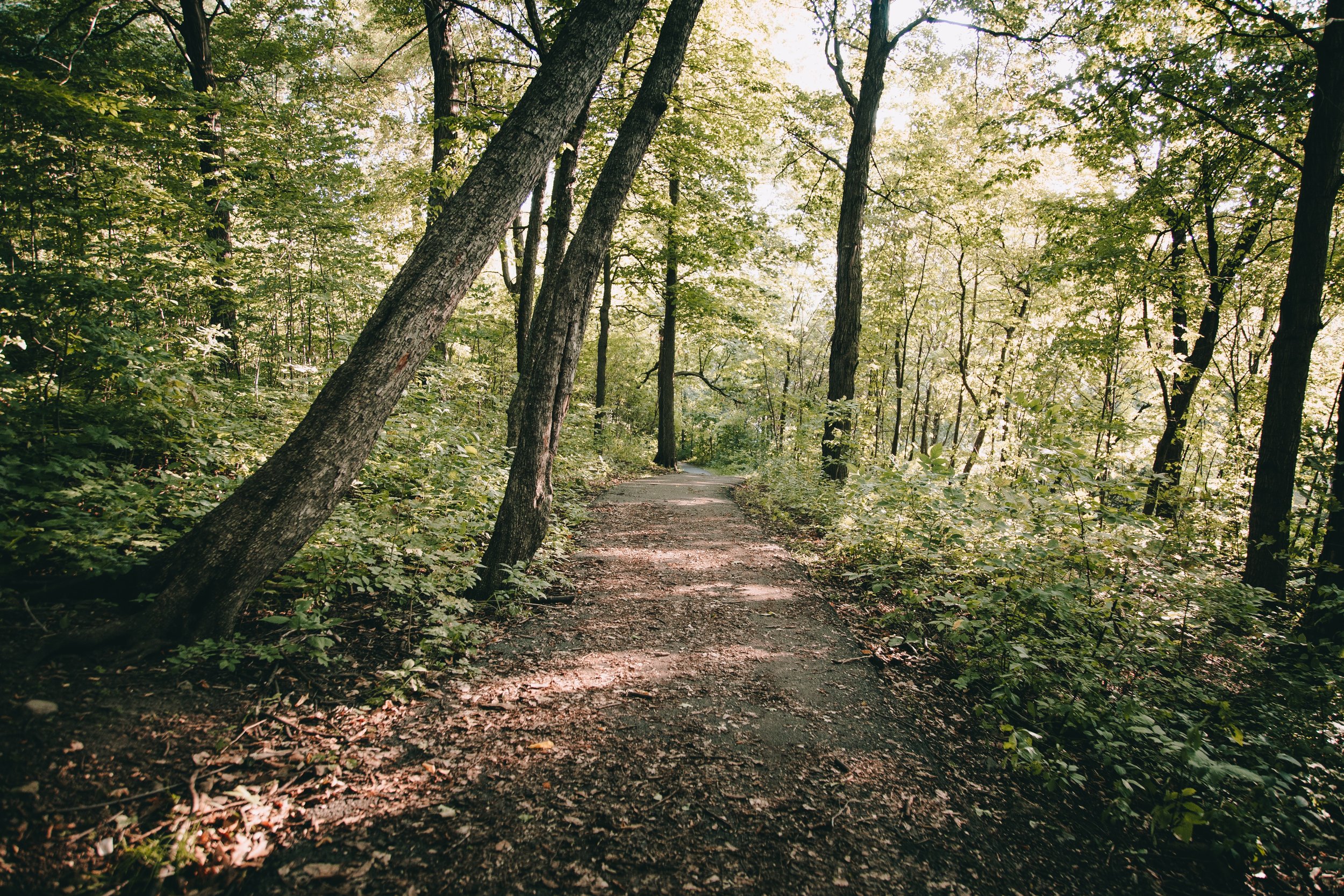 Top 7 Best Hiking Trails in Austin