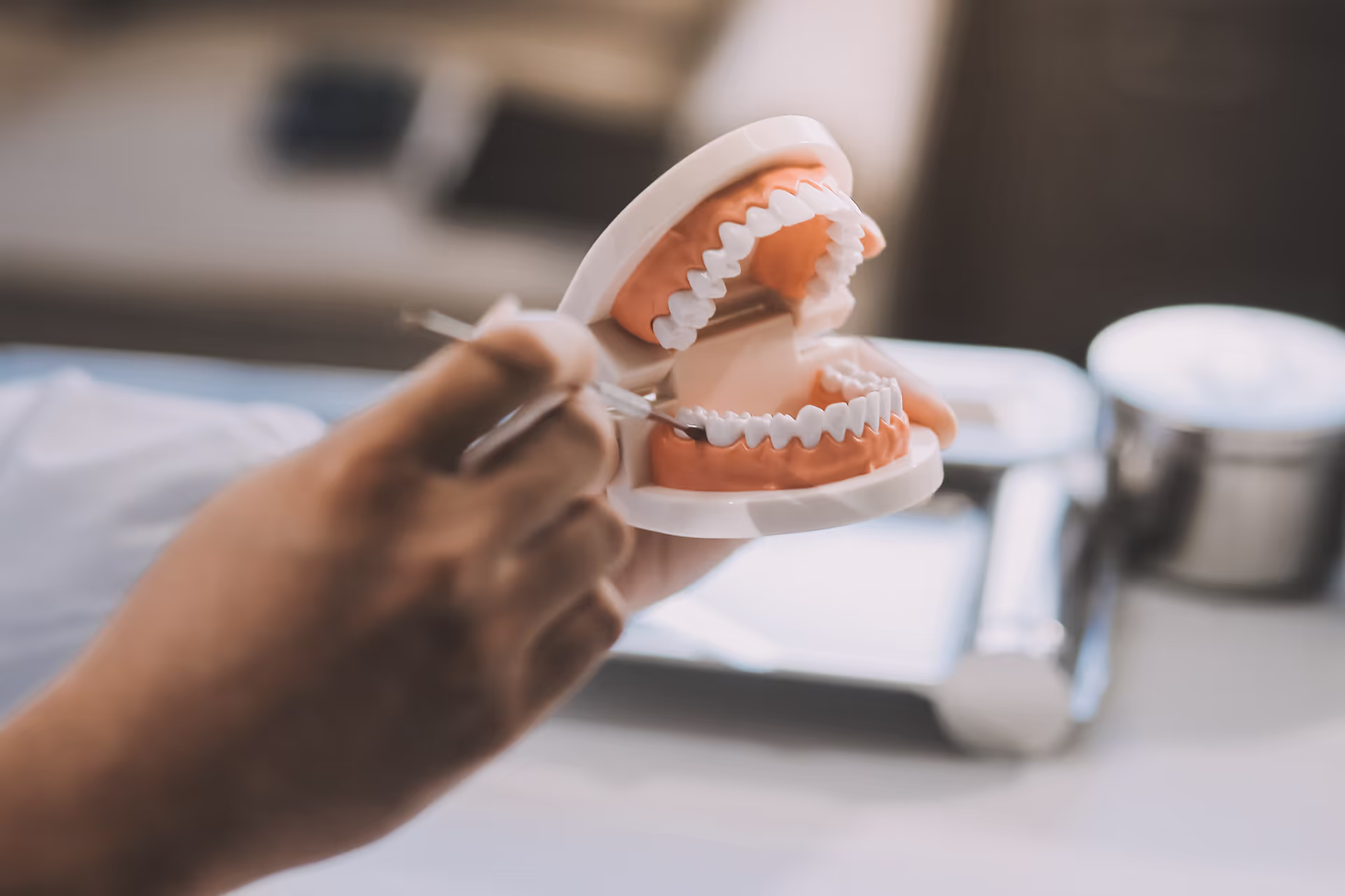 A dentist showing a tooth model