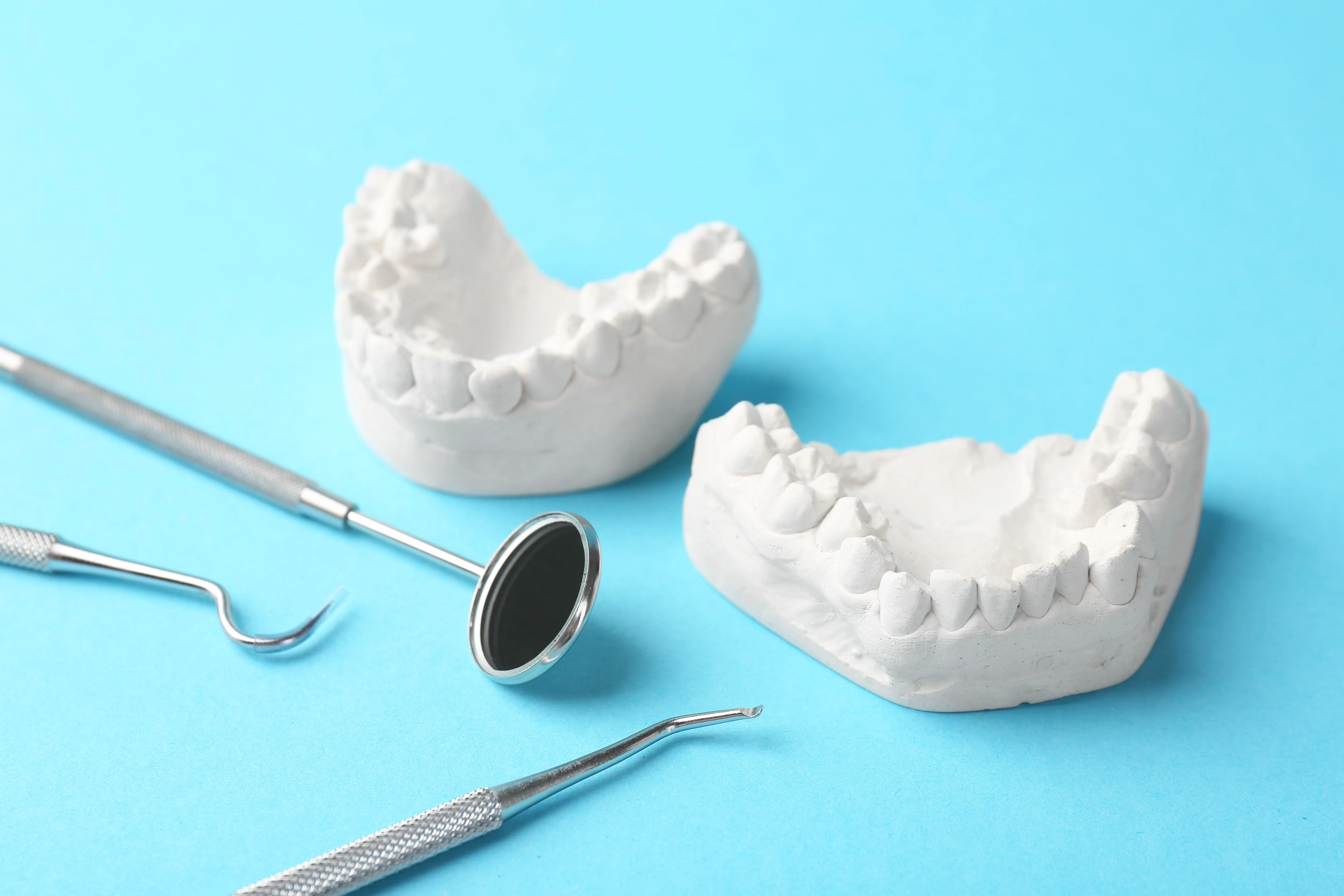 Ceramic model of teeth and gums