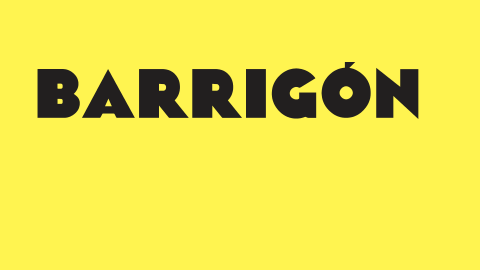 Barrigón