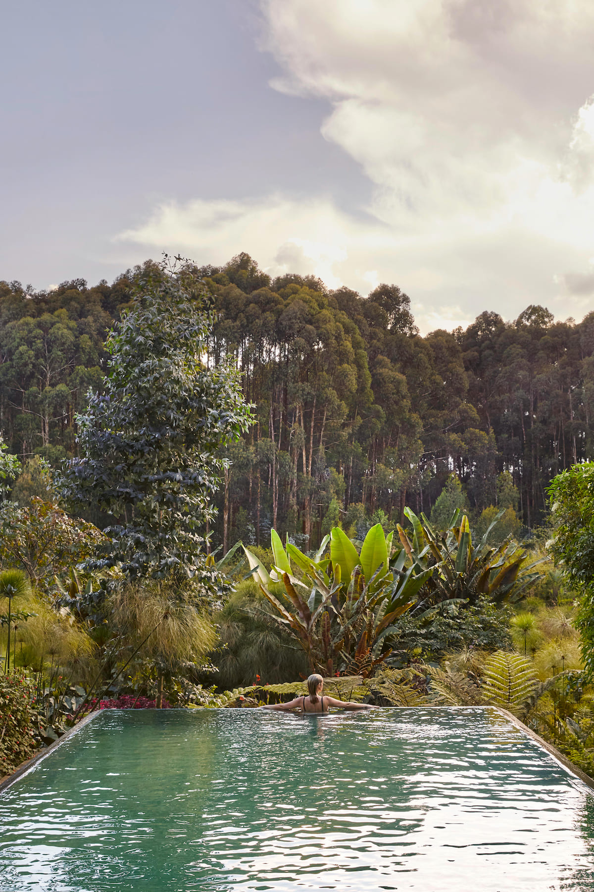 Club One pool at Gorillas Nest