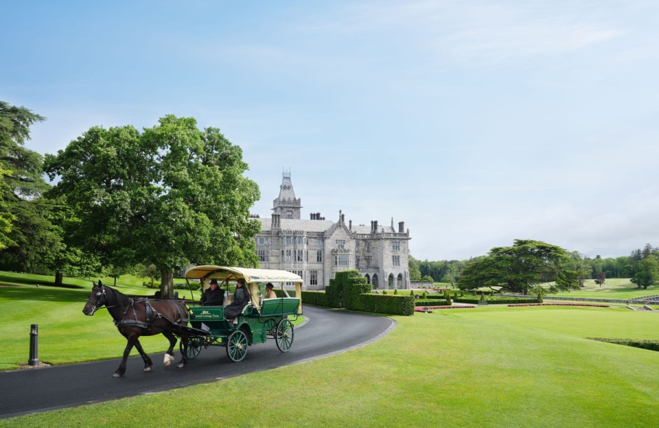 Horse and Carriage at Adare Manor in Ireland