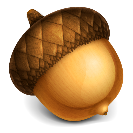 Acorn 7