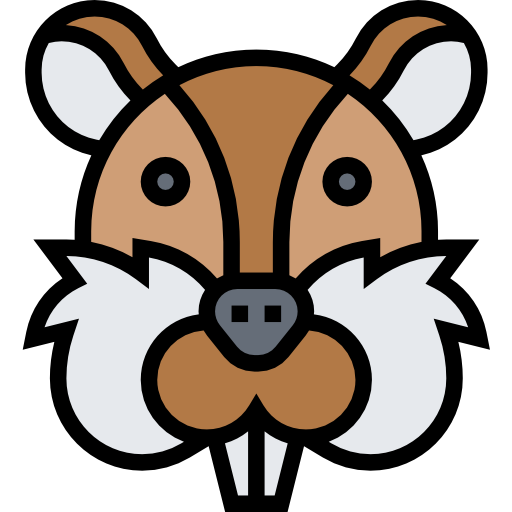 chipmunk