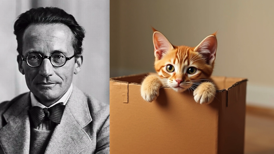 Pre-Move Volume Estimation: Managing Uncertainty