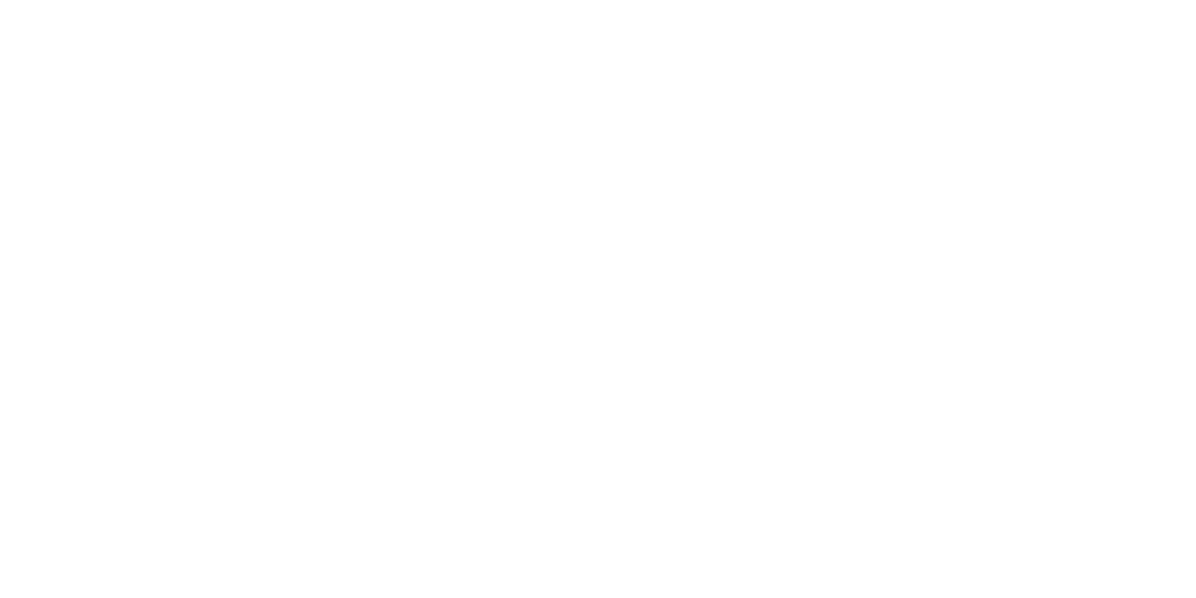 Die Kanzleibooster