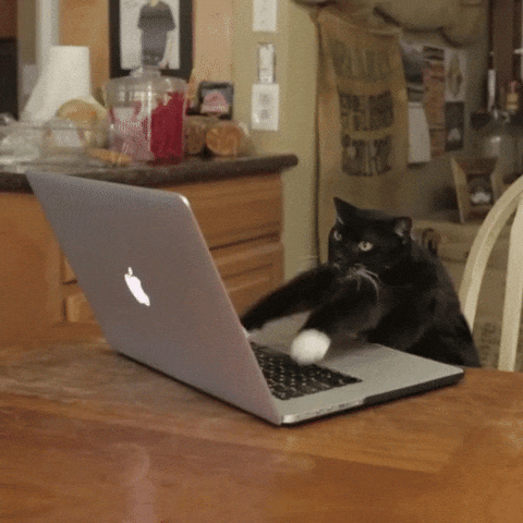 GIF illustrating a hack to export large Sales Navigator lists by manually splitting the search