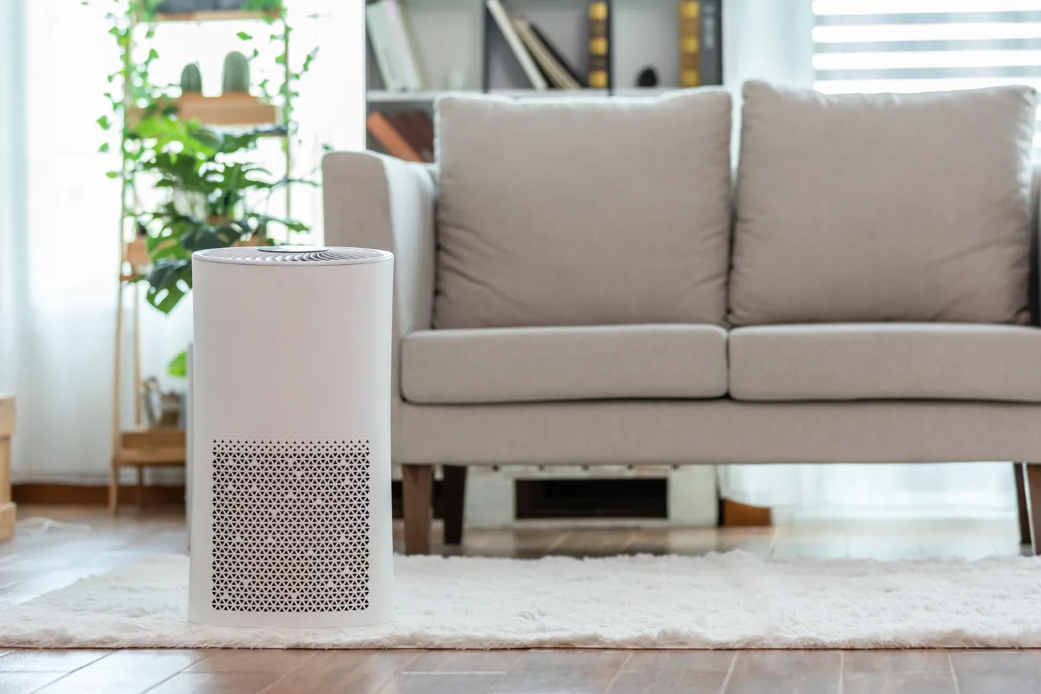Maximizing Your Air Purifier Efficiency in Willis