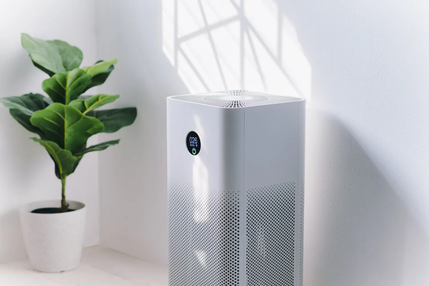 Professional Air Purifier Maintenance Tips for Willis Homes