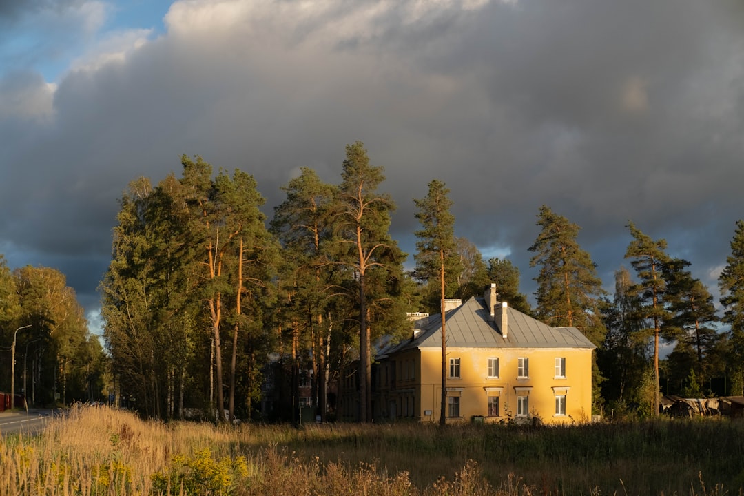 Who Are the Real Professionals? Best Construction in The Woodlands