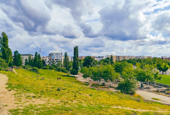 Bäume und Wiese im Mauerpark