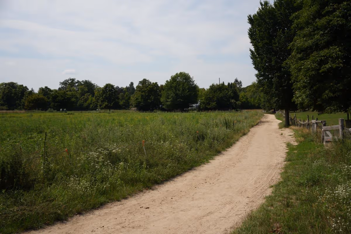 Weg auf der Domäne Dahlem