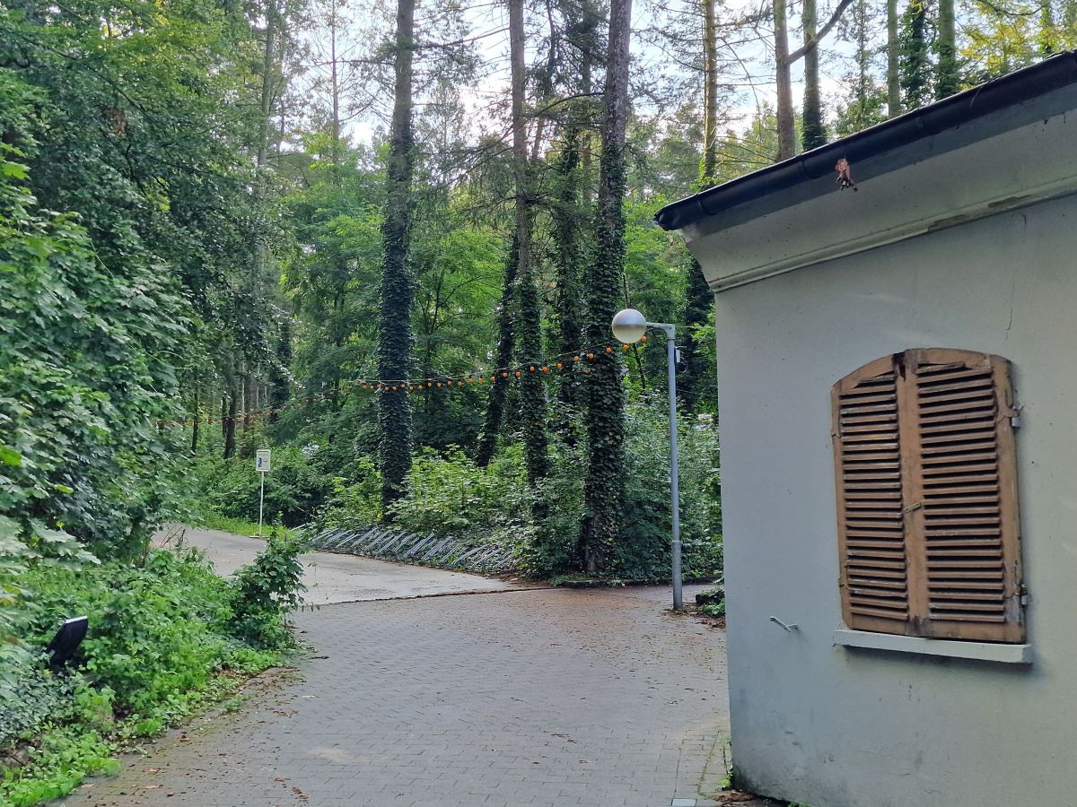 Rehberge