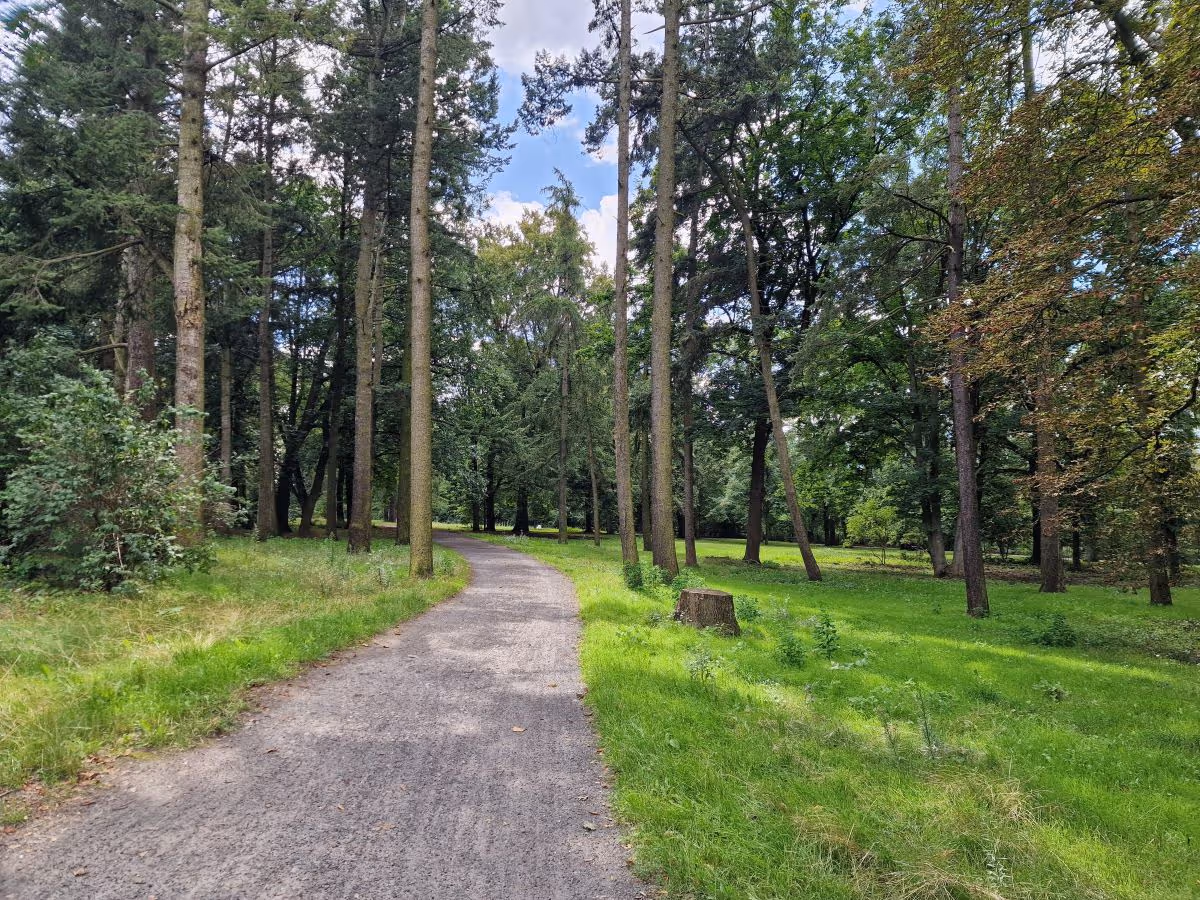 Spaziergang am Plötzensee
