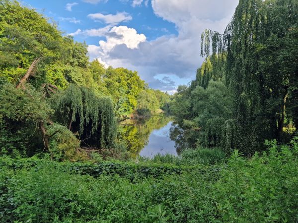Spaziergang durch die Rehberge – versteckte Pfade und tierische Begegnungen🌿 