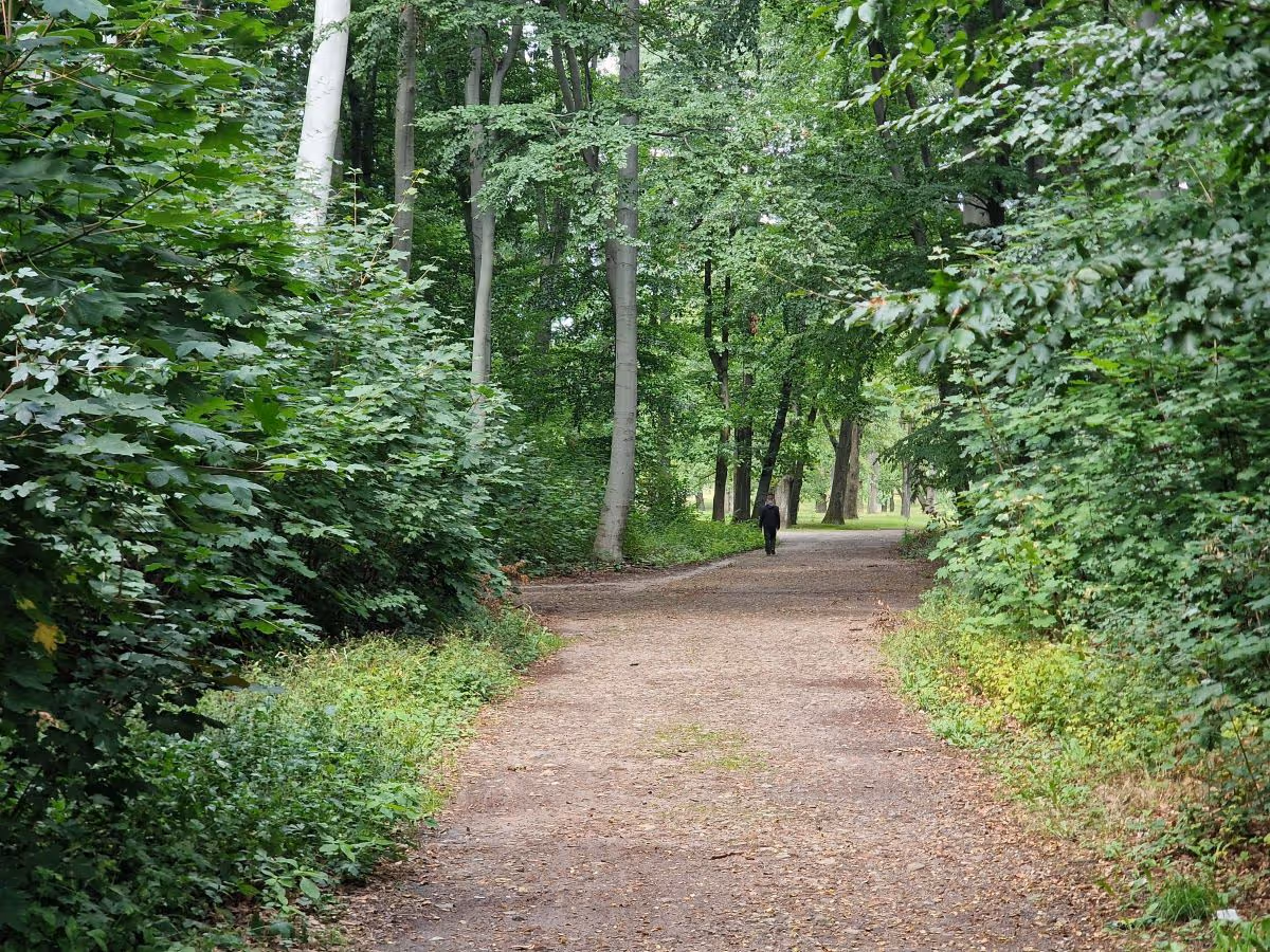 Weg im Park Rehberge