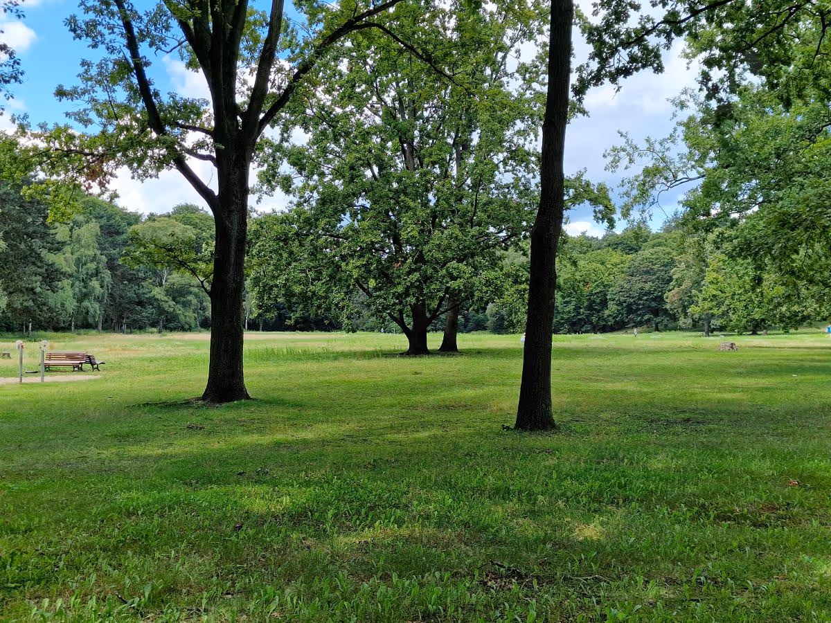 Wiese in der Rehberge