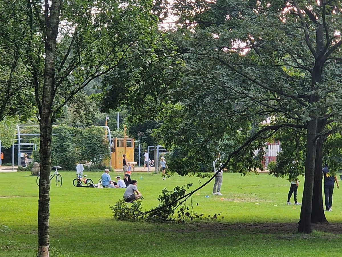 Bürgerpark Pankow Wiese