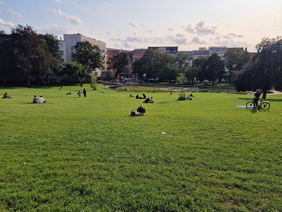 Wiese im Weinbergspark
