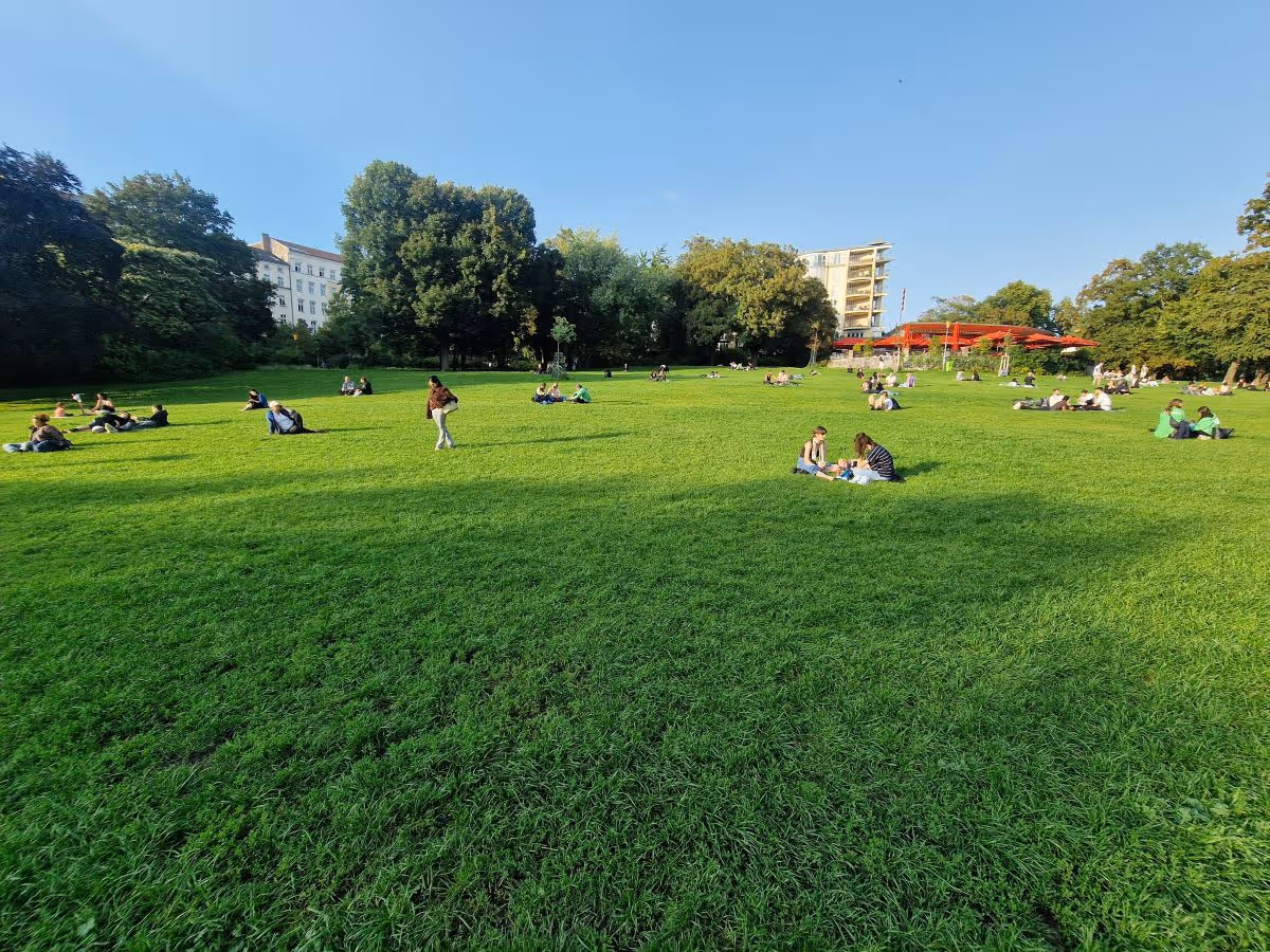 Wiese im Weinbergspark