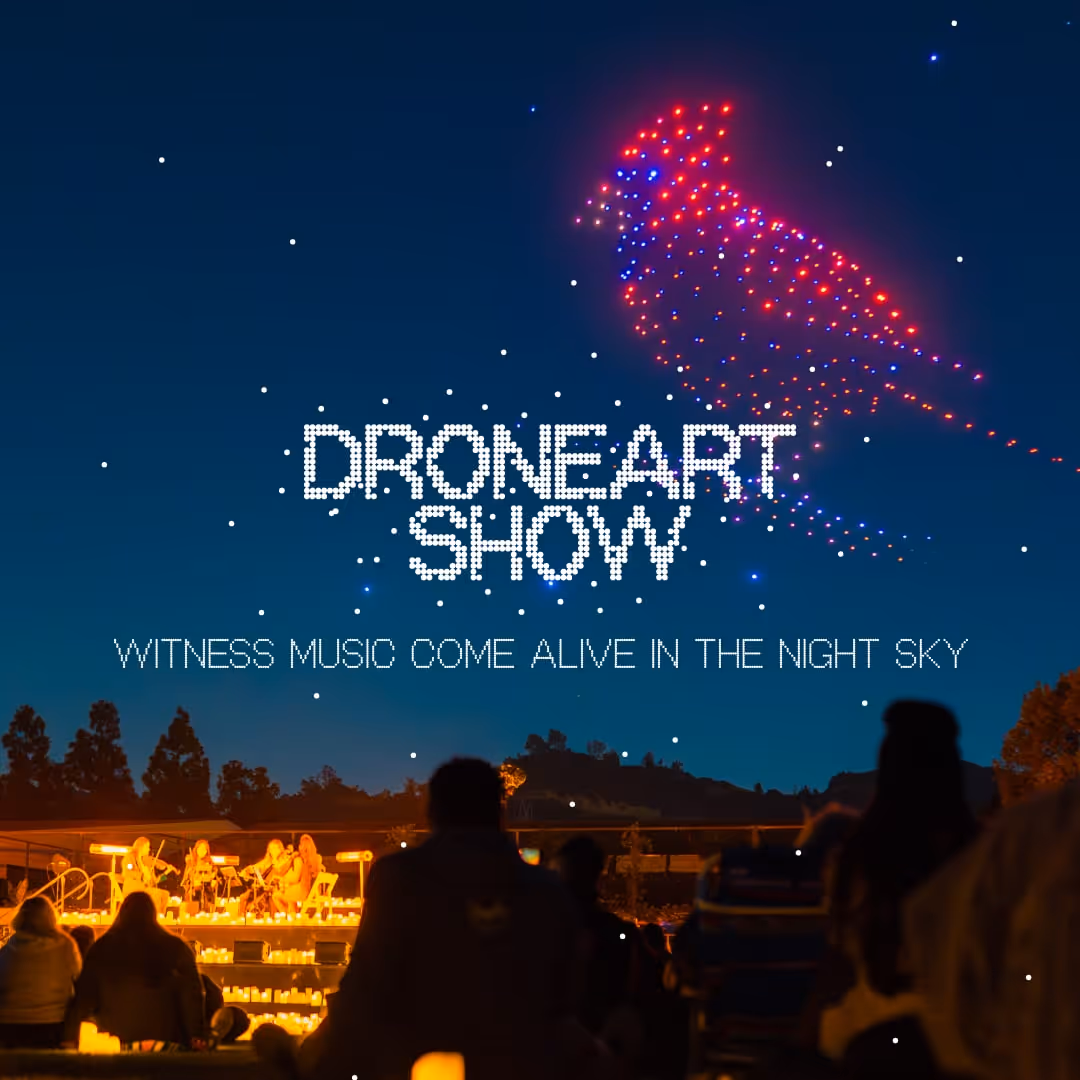 Dronenshow Plakat