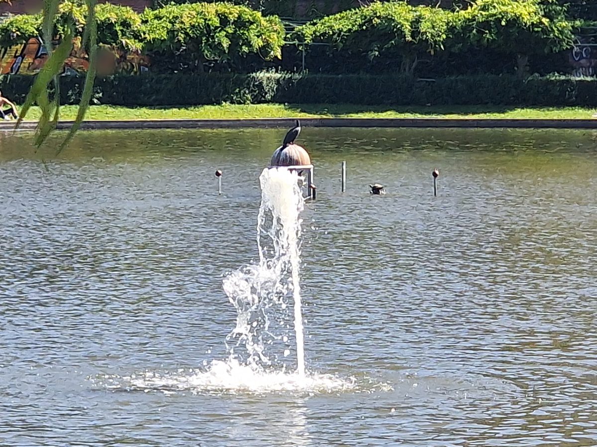kleine Wasserfontäne auf dem Wasser