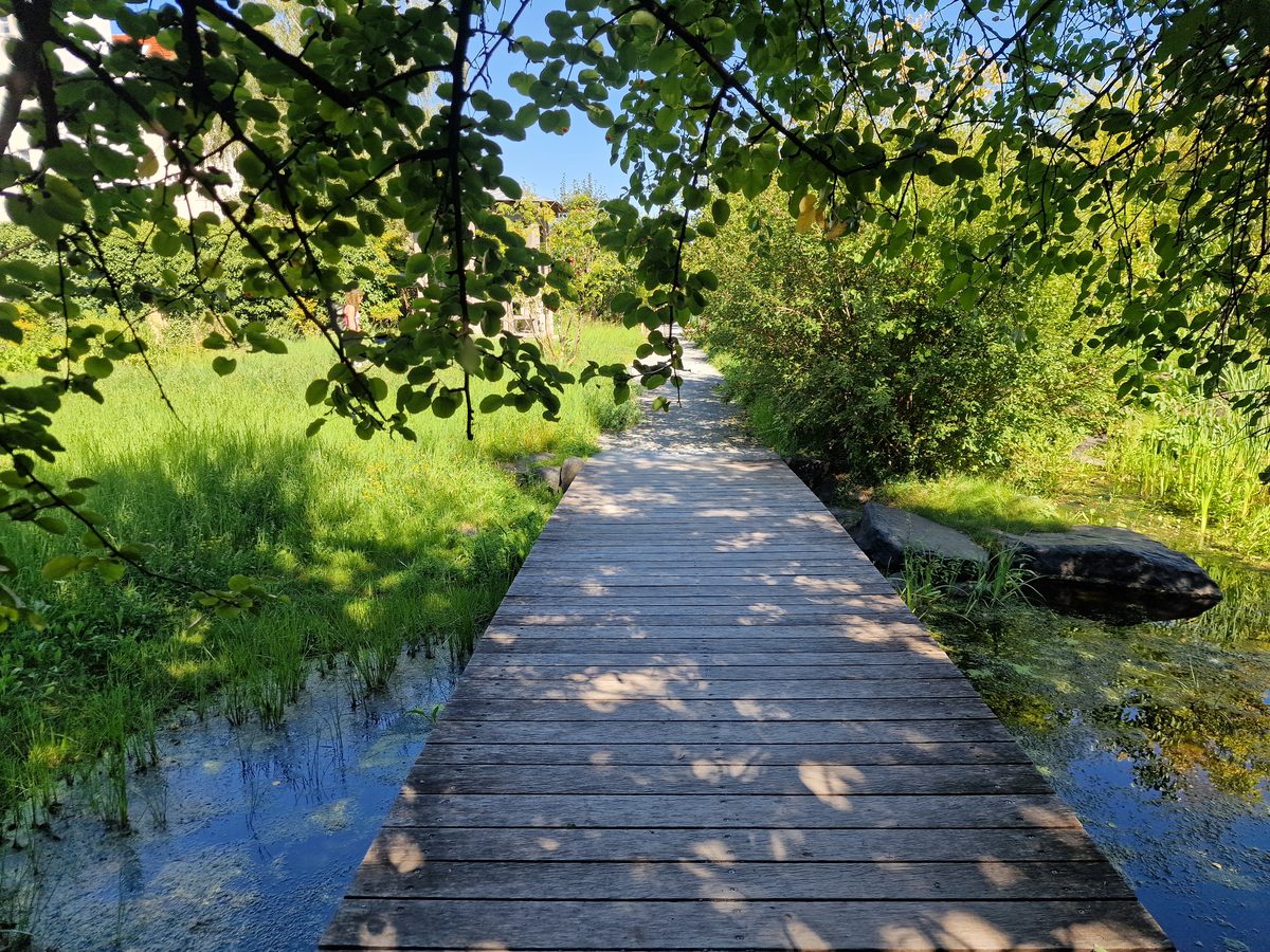 Comenius Garten 