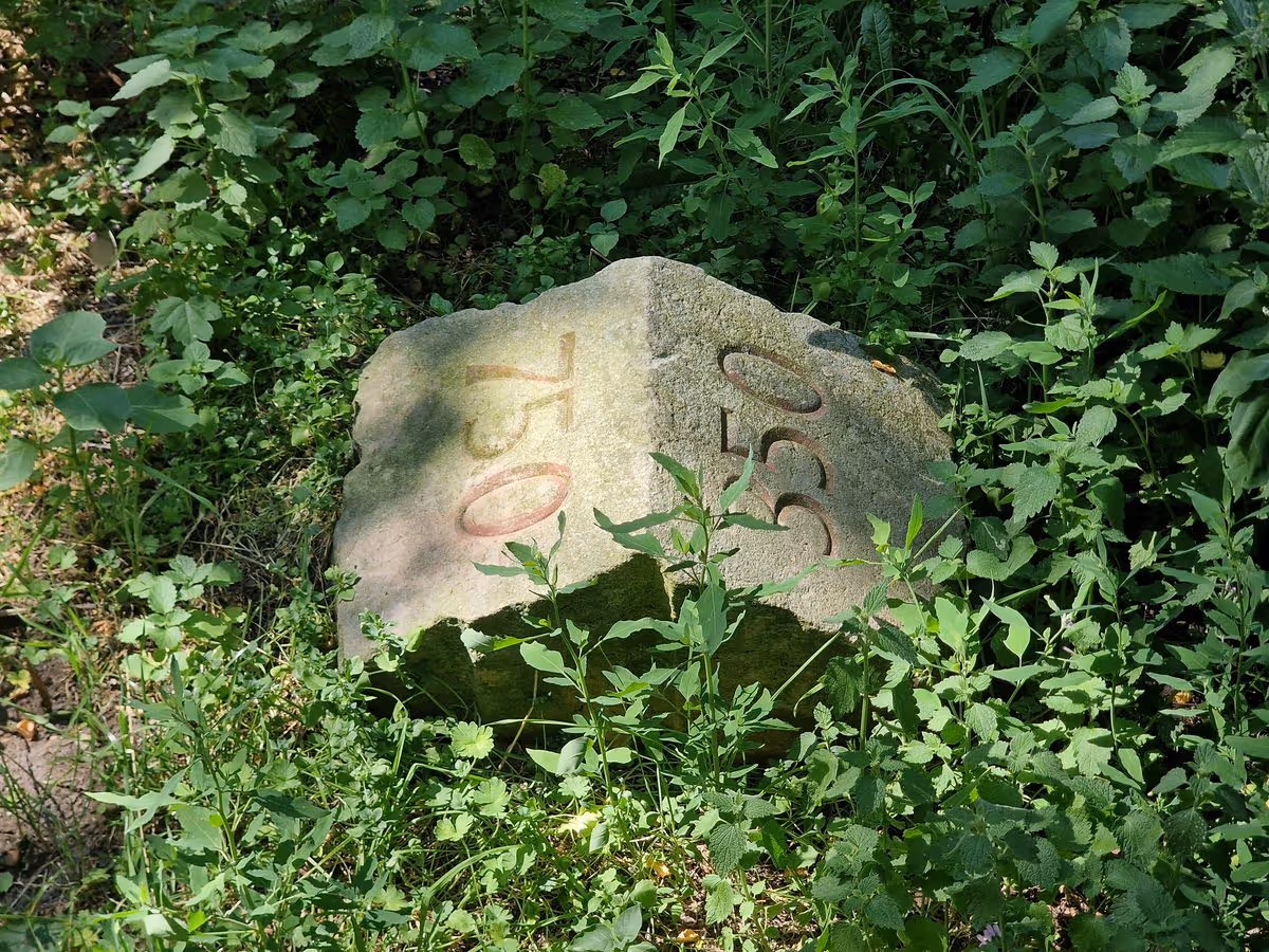 Stein im Fritz-Schloß-Park