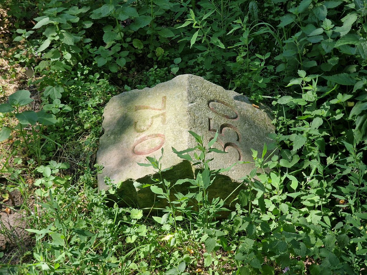 Stein im Fritz-Schloß-Park