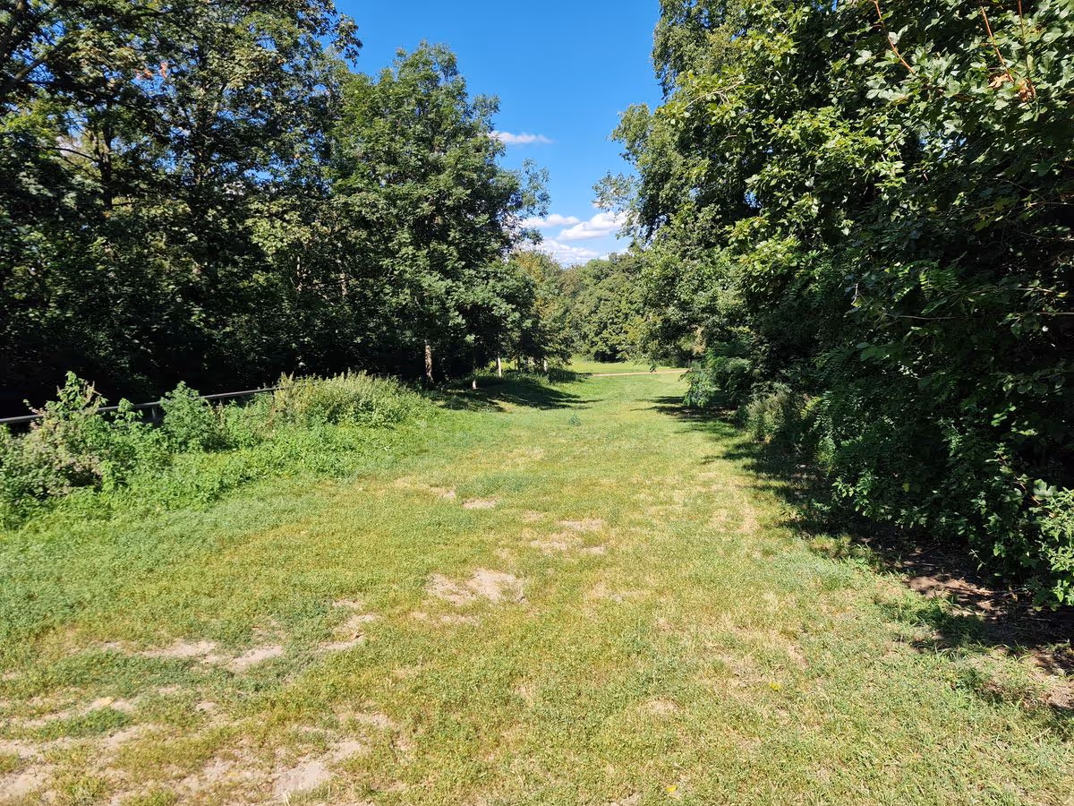 Wiese im Fritz-Schloß-Park