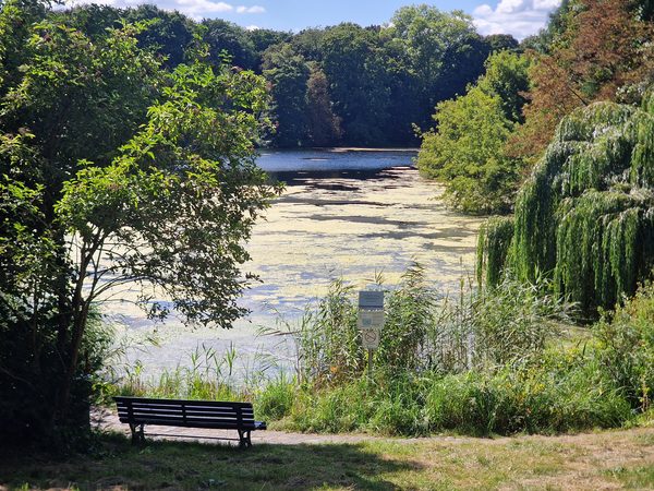 Herthasee – versteckte Idylle im Grunewald 🚶‍♀️