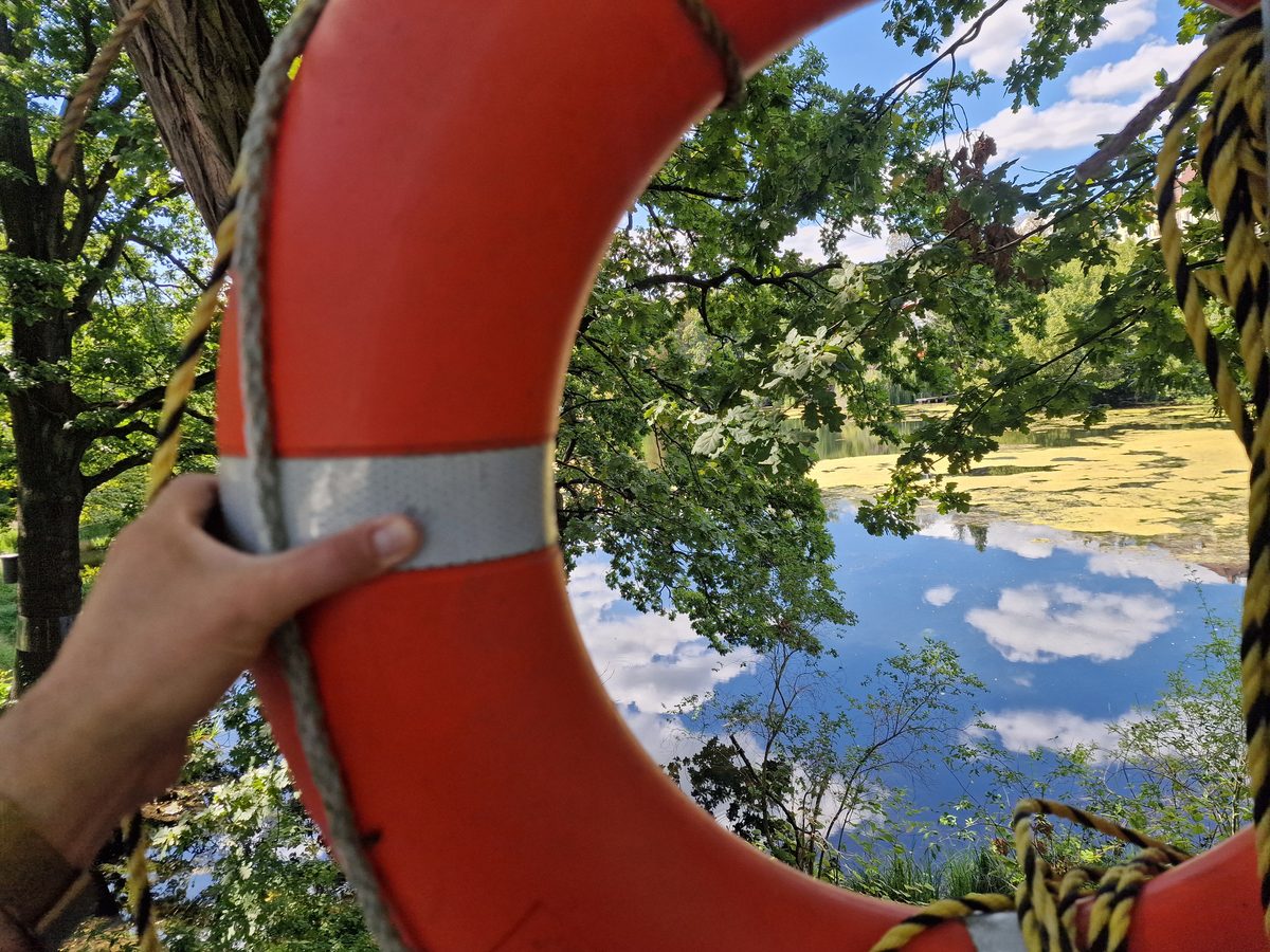 Rettungsring vor See