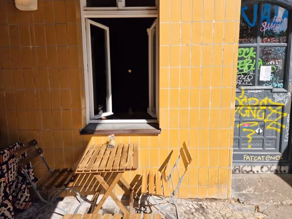 Kitten Deli – Tel Aviv trifft Neukölln 🌱