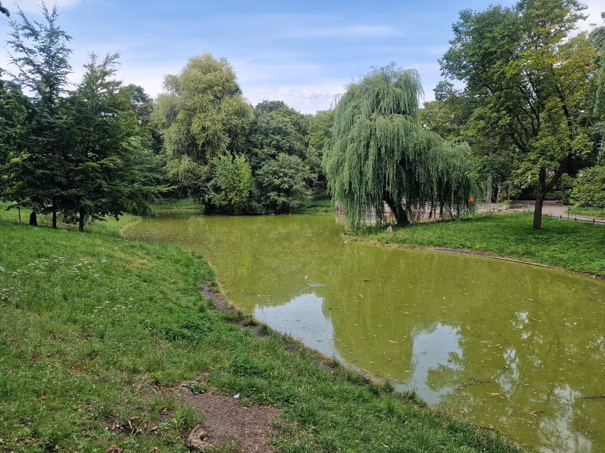 Fluss im Stadtpark Lichtenberg
