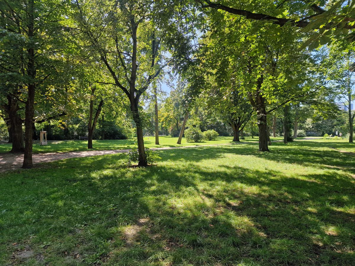 Bäume im Volkspark Friedrichshain