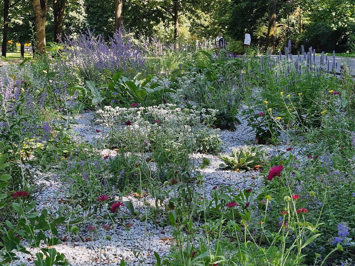 Blumen im Volkspark Friedrichshain