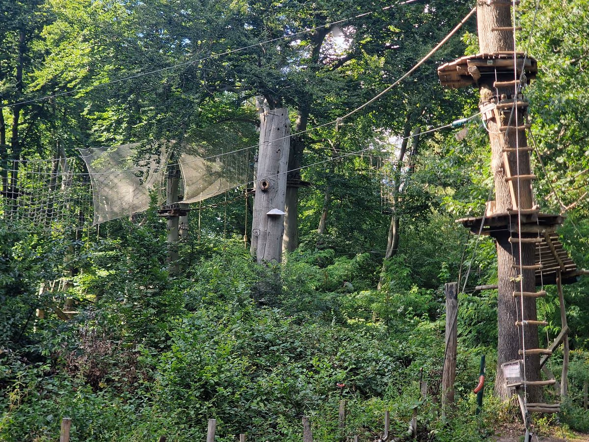 Kletterpark im Park Jungfernheide