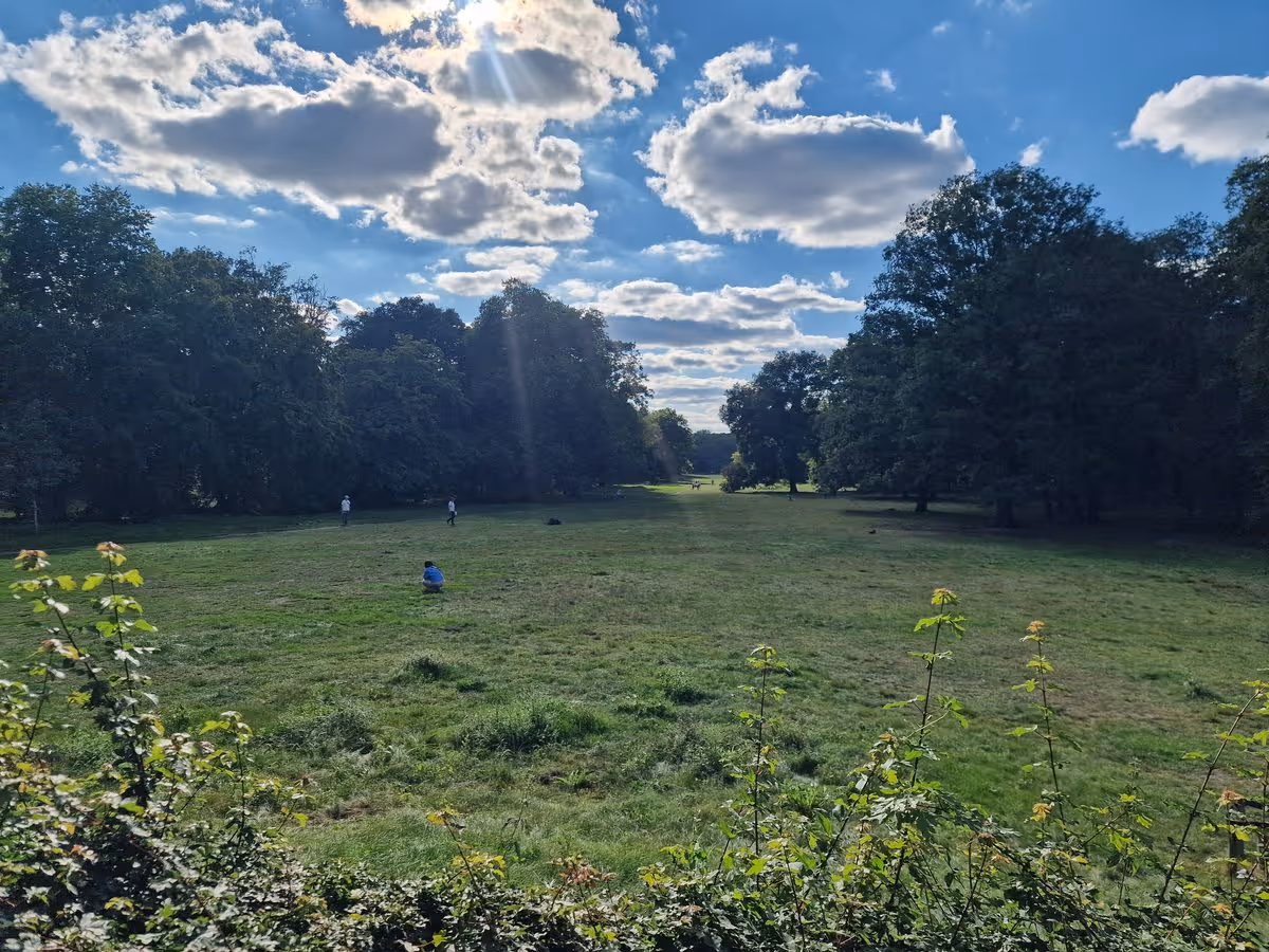 Wiese im Park Jungfernheide