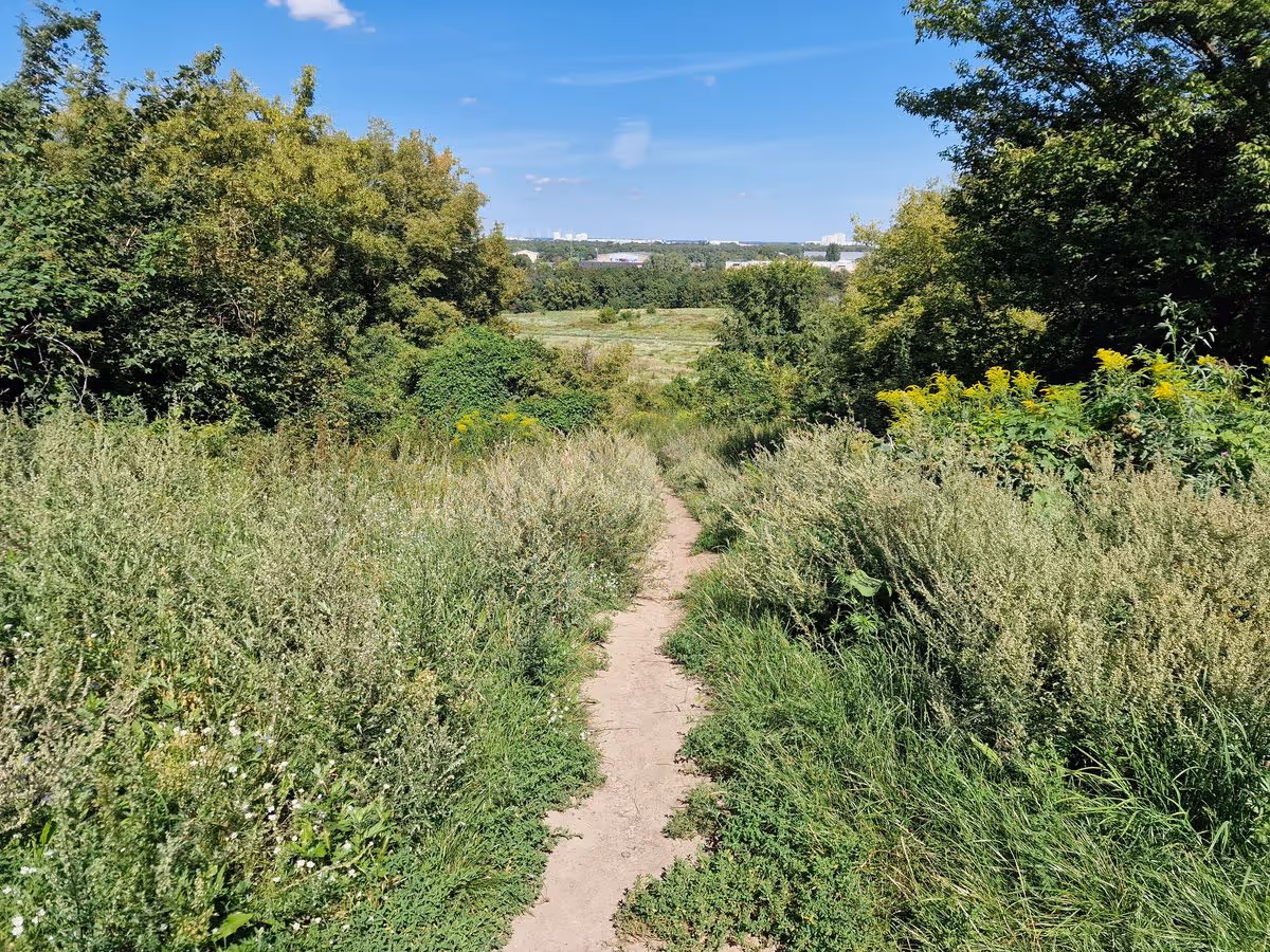 Volkspark Prenzlauer Berg